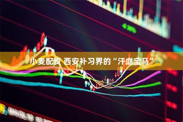 小麦配资 西安补习界的“汗血宝马”