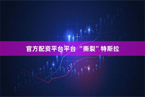官方配资平台平台 “撕裂”特斯拉