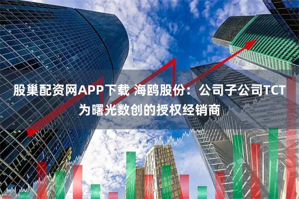 股巢配资网APP下载 海鸥股份：公司子公司TCT为曙光数创的授权经销商